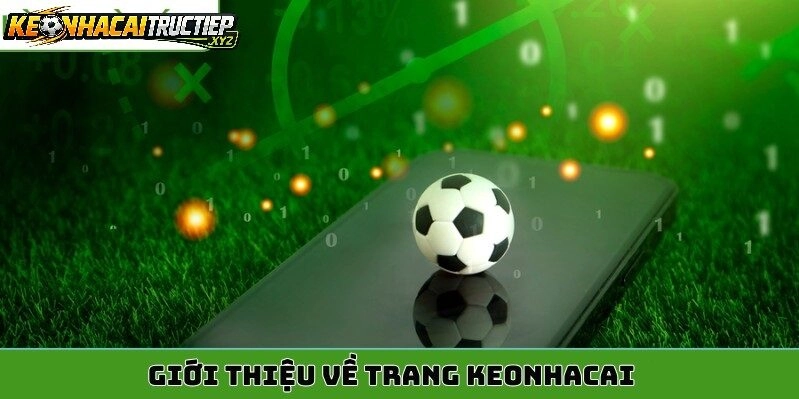 Những Chuyên Mục Nổi Bật Tại Keonhacaitructiep