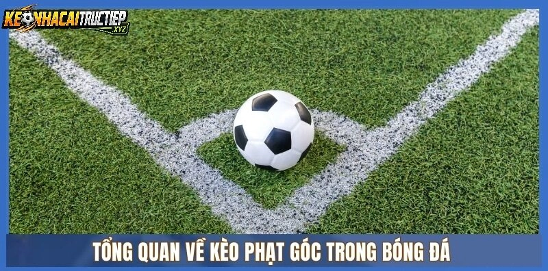 Kinh Nghiệm Bắt Kèo Phạt Góc Hiệu Quả Tại Keonhacaitructiep